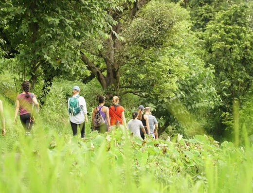 7 Day of Yoga in Dehradun , India